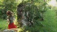 Murs à pêches, parcelles de vie Une ballade dans les Murs à pêches de Montreuil d’hier et d’aujourd’hui. Construits au 17ème siècle, comptant plus de 600...